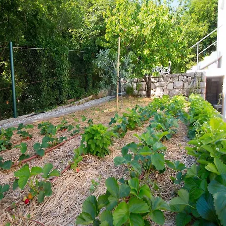 Holiday home House Gardens Crikvenica